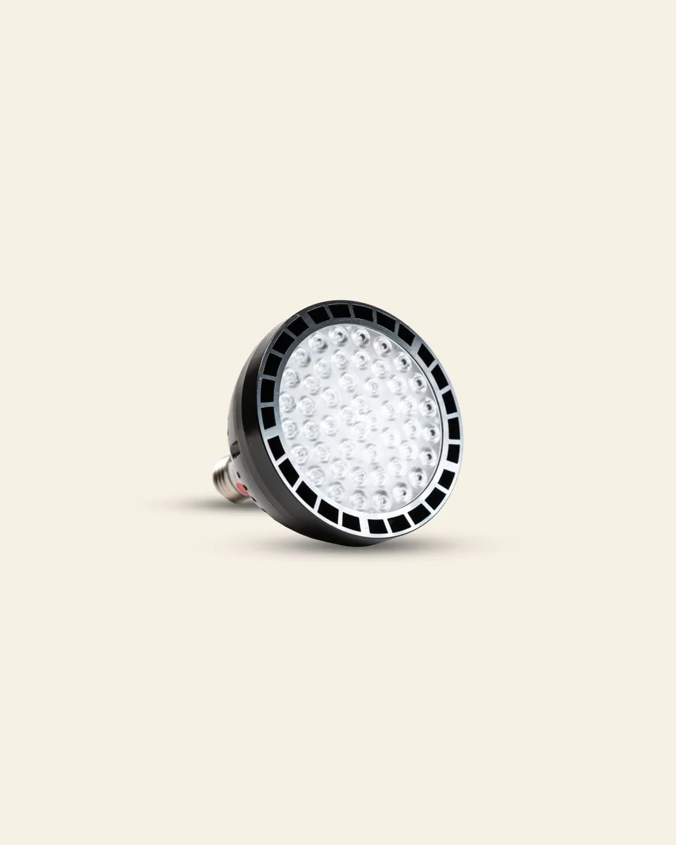 Target Light 2.0 Handheld Red Light Therapy Device by Red Light Rising